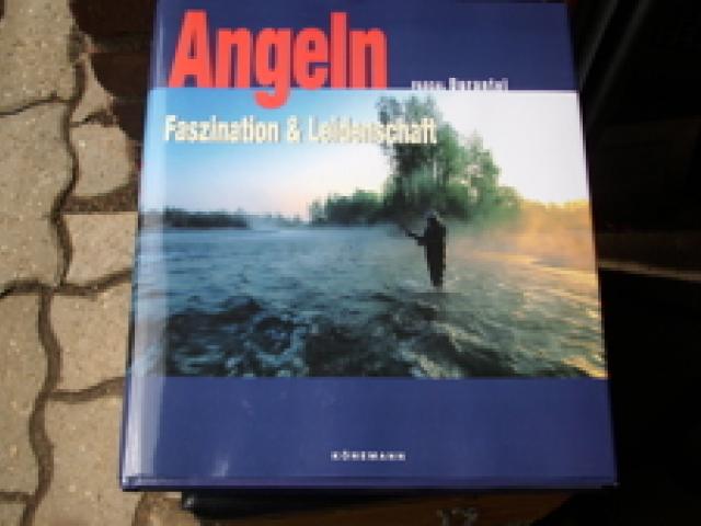 Angelbuch - 1